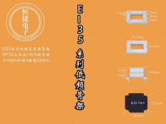 EI35-25 10*25(F)立王B骨架